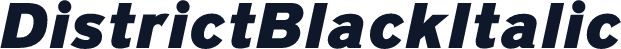 DistrictBlackItalic