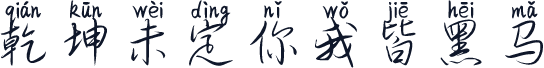 乾坤未定你我皆黑马