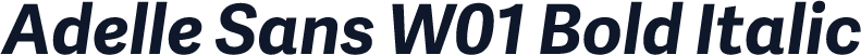 Adelle Sans W01 Bold Italic