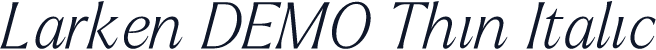 Larken DEMO Thin Italic