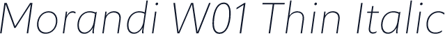 Morandi W01 Thin Italic