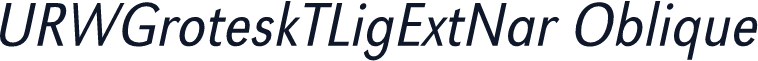 URWGroteskTLigExtNar Oblique