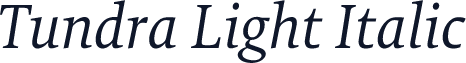 Tundra Light Italic
