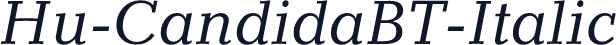 Hu-CandidaBT-Italic