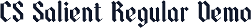 CS Salient Regular Demo