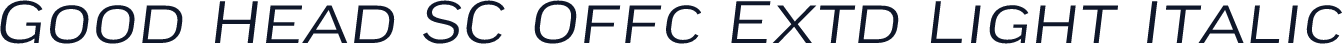 Good Head SC Offc Extd Light Italic