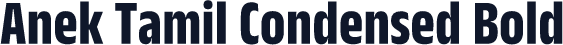 Anek Tamil Condensed Bold