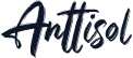 Anttisol