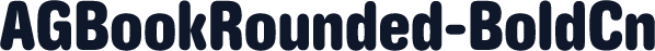 AGBookRounded-BoldCn