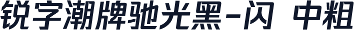 锐字潮牌驰光黑-闪 中粗