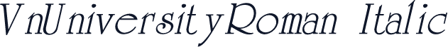 VnUniversityRoman Italic