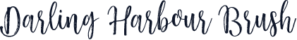 Darling Harbour Brush