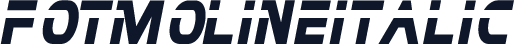 FOTMolineItalic