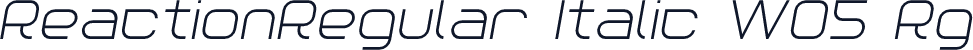 ReactionRegular Italic W05 Rg