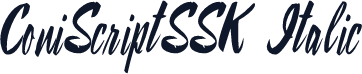 ConiScriptSSK Italic