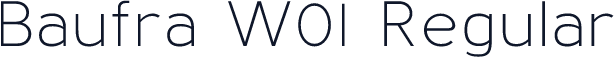 Baufra W01 Regular