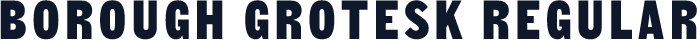 Borough Grotesk Regular