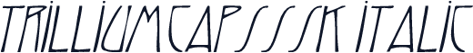 TrilliumCapsSSK Italic