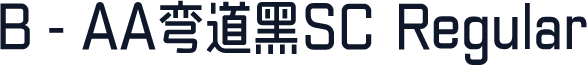 B-AA弯道黑SC Regular