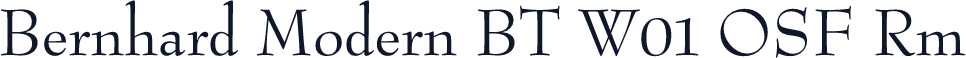 Bernhard Modern BT W01 OSF Rm
