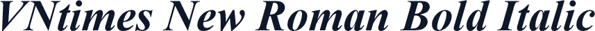 VNtimes New Roman Bold Italic