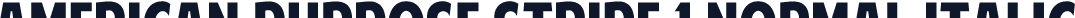 American Purpose STRIPE 1 Normal Italic
