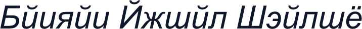 Danzan Arial Italic
