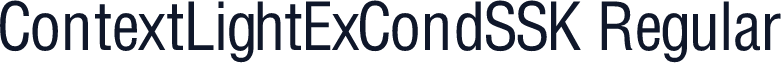 ContextLightExCondSSK Regular