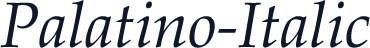 Palatino-Italic