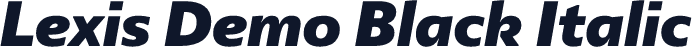 Lexis Demo Black Italic