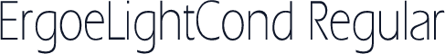 ErgoeLightCond Regular