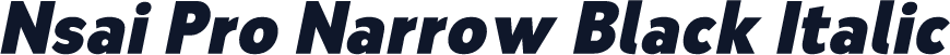 Nsai Pro Narrow Black Italic