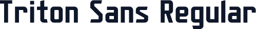 Triton Sans Regular