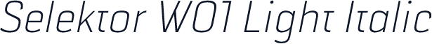 Selektor W01 Light Italic
