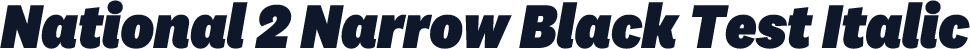 National 2 Narrow Black Test Italic