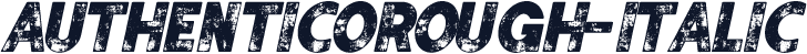 AuthenticoRough-Italic