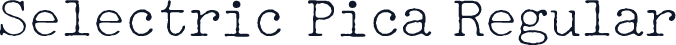 Selectric Pica Regular