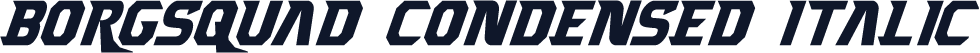 Borgsquad Condensed Italic