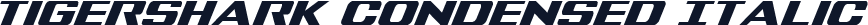 Tigershark Condensed Italic
