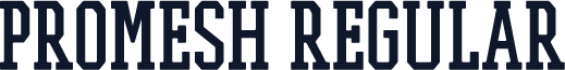 PROMESH Regular