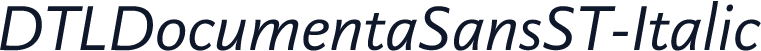 DTLDocumentaSansST-Italic