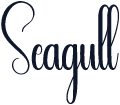 Seagull