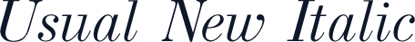 Usual New Italic