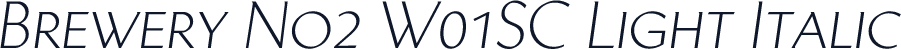 Brewery No2 W01SC Light Italic