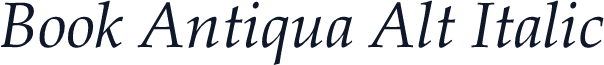 Book Antiqua Alt Italic