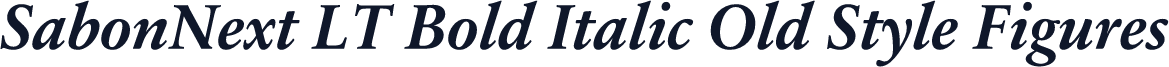 SabonNext LT Bold Italic Old Style Figures