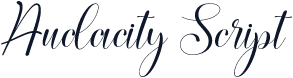 Audacity Script