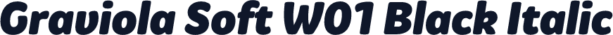 Graviola Soft W01 Black Italic