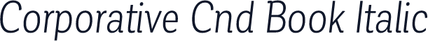 Corporative Cnd Book Italic