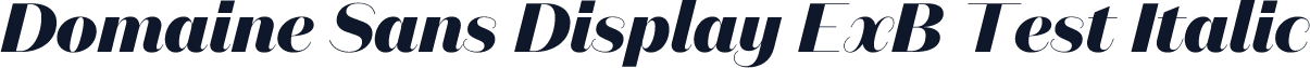 Domaine Sans Display ExB Test Italic